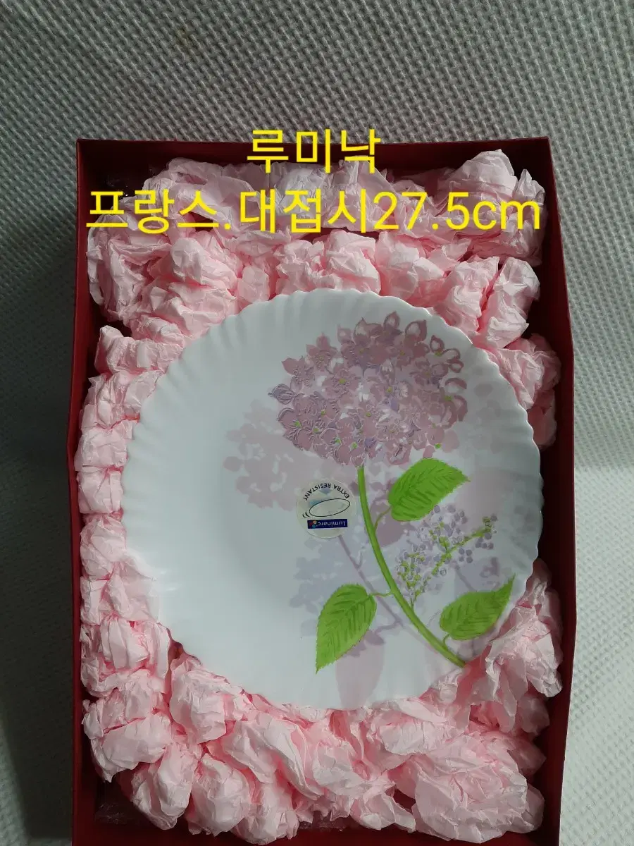 루미낙 프랑스접시 대접시27.5cm